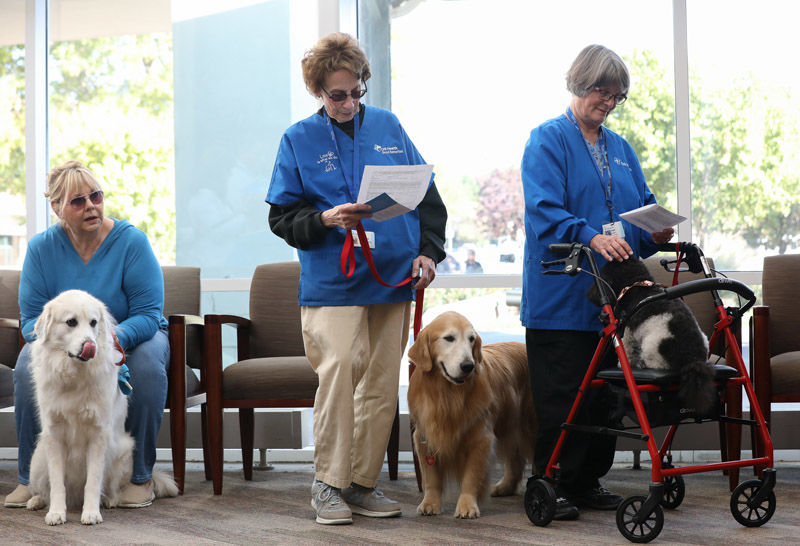 Blessing of the therapy dogs